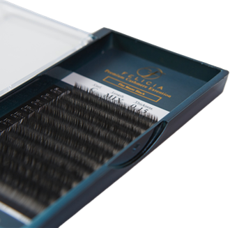 フラットラッシュ